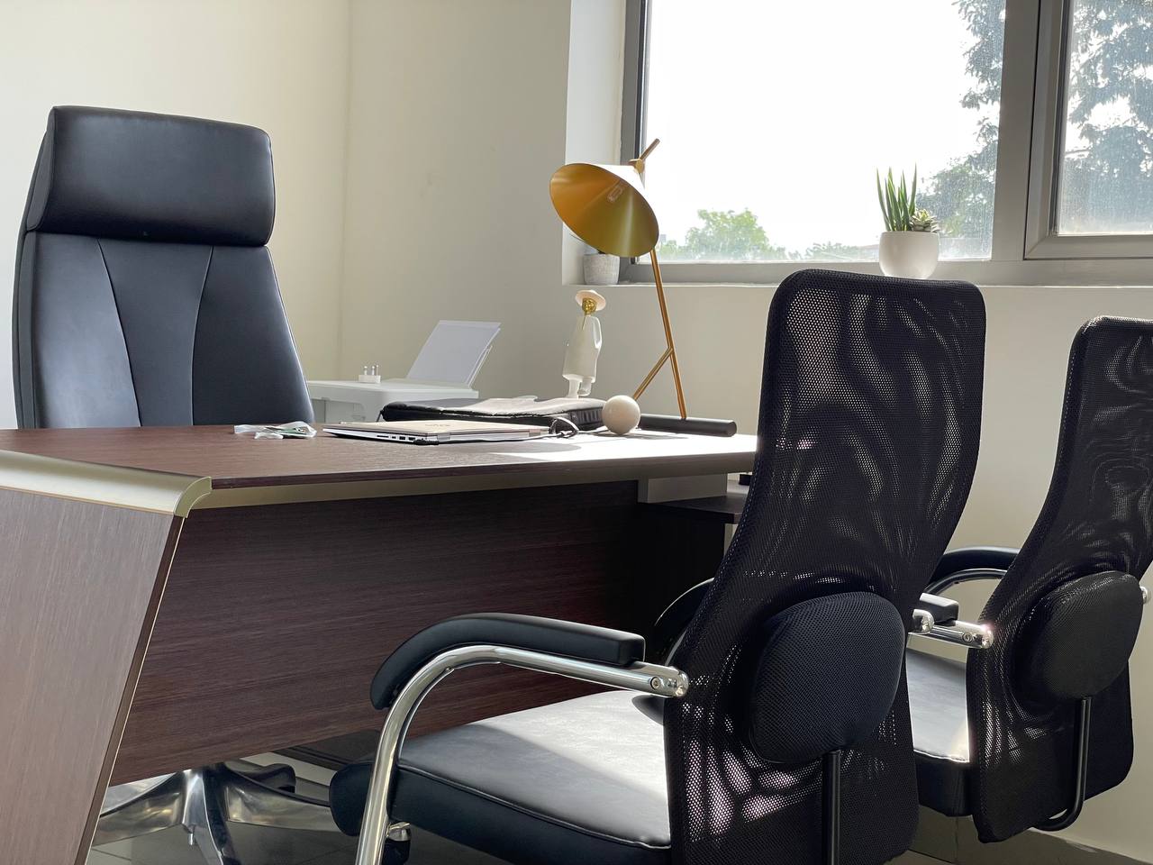 photo_2023-05-11_14-57-00